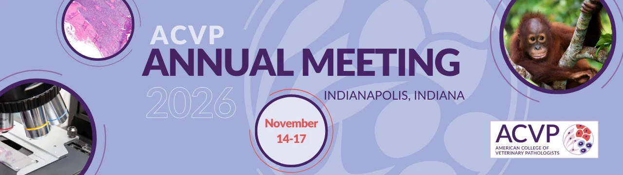 Female scientist using a computer