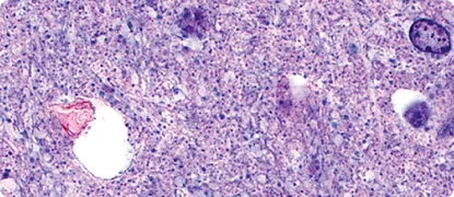 Female scientist using a computer